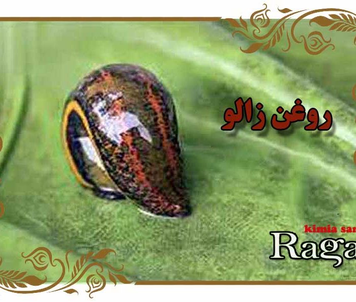 روغن زالو