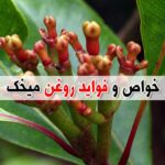 برای سلامت پوست و درمان جوش مفید است