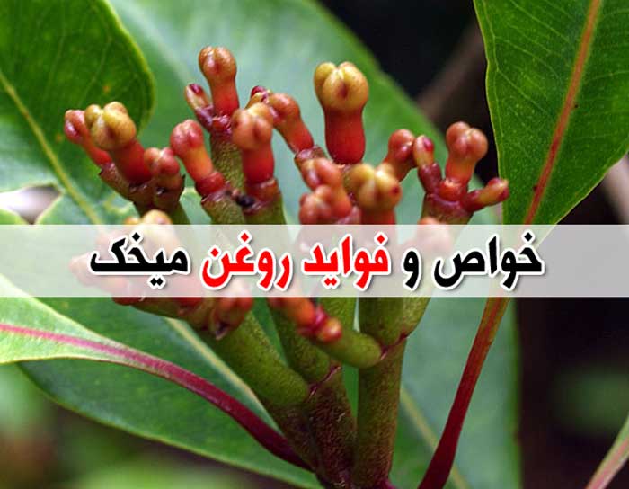 روغن میخک – خواص – عوارض جانبی – تداخل دارویی