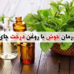 خواص روغن درخت چای برای جوش – درمان آکنه